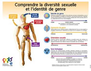 http://pierregirard.org/a/CSQ-Comprendre-diversite-sexuelle-et-identite-de-genre-critique-300px.jpg